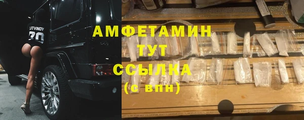 стаф Алексин