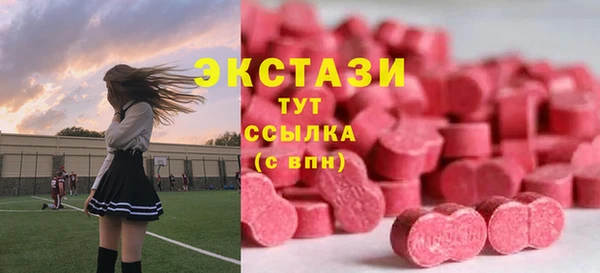 стаф Алексин