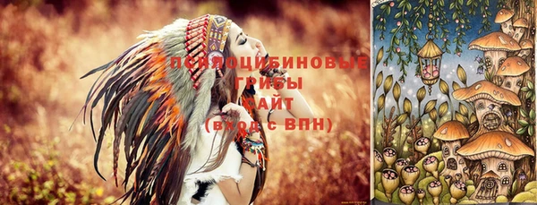 стаф Алексин