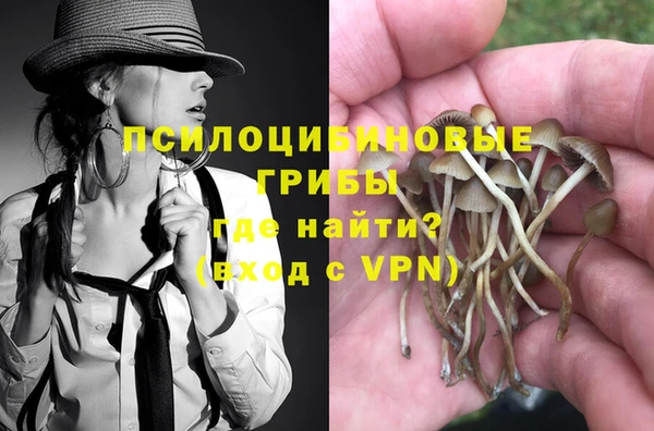 каннабис Алзамай