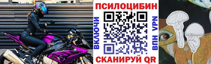 наркота  МЕГА вход  Псилоцибиновые грибы GOLDEN TEACHER  Губкин 